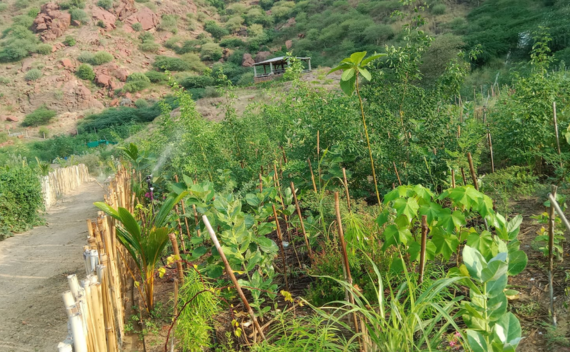 JNPA – Navi Mumbai Project